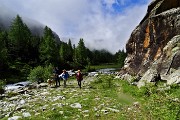 Al Rif. Ponti (2559 m), il rifugio del Disgrazia, dalla Valle di Preda Rossa il 23 giugno 2015 - FOTOGALLERY